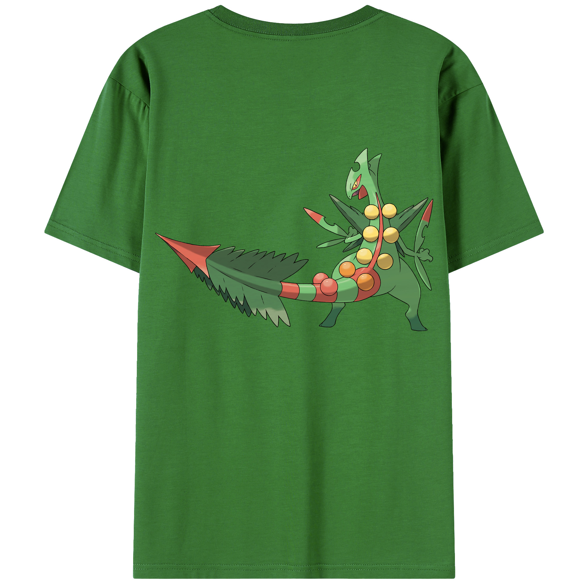 （画像用） ポケットモンスター Pokémon レディース半袖Tシャツ(バックプリント)